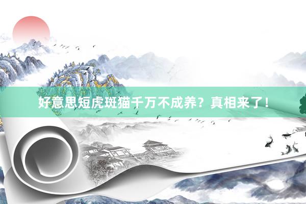 好意思短虎斑猫千万不成养？真相来了！